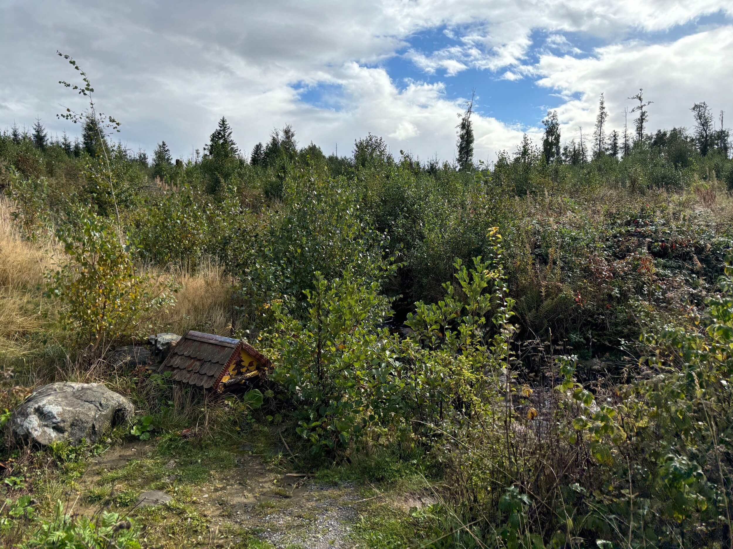 Bergwacht Harz Ferienhaus Brocken 38