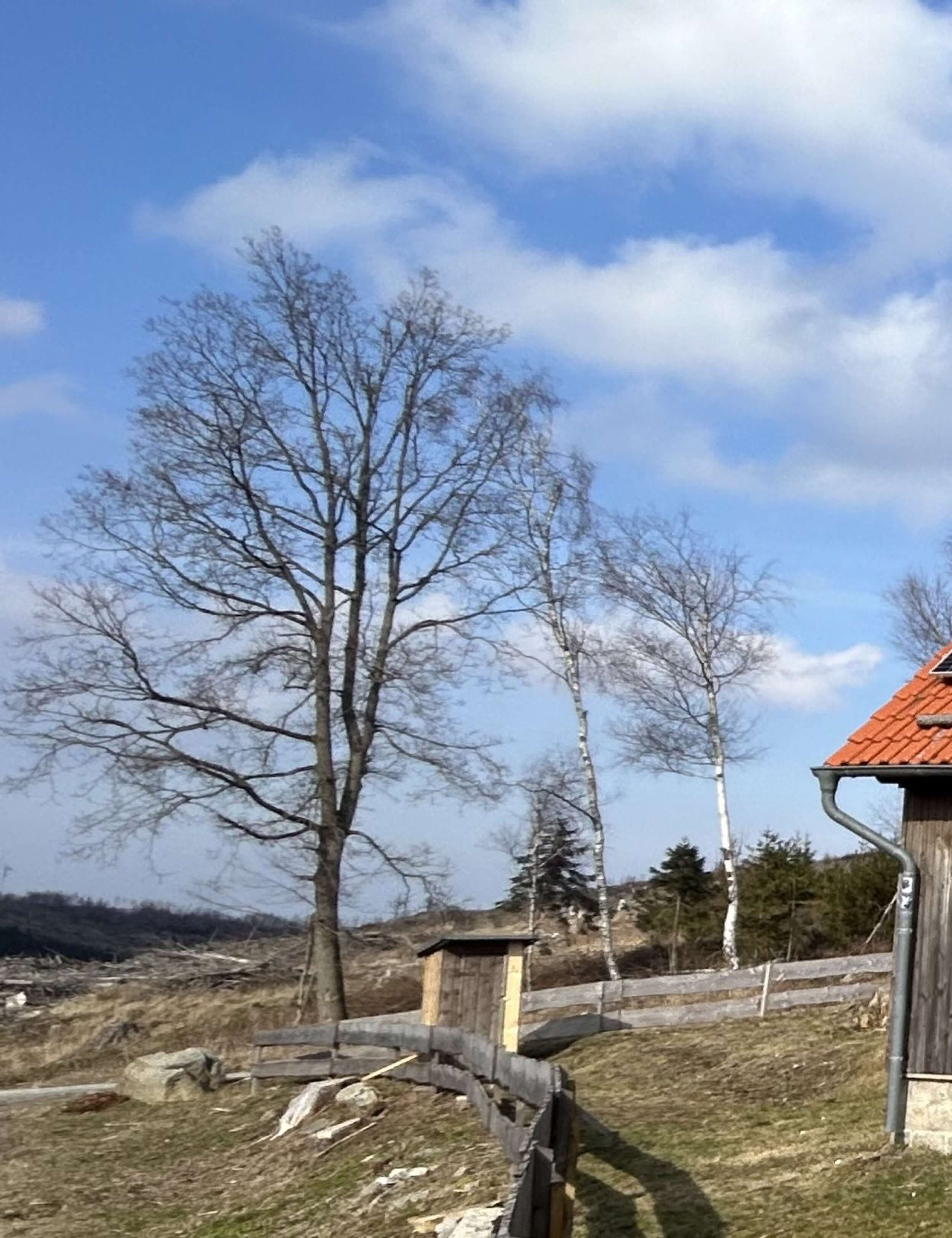 Bergwacht-Harz-Ferienhaus-Brocken-4