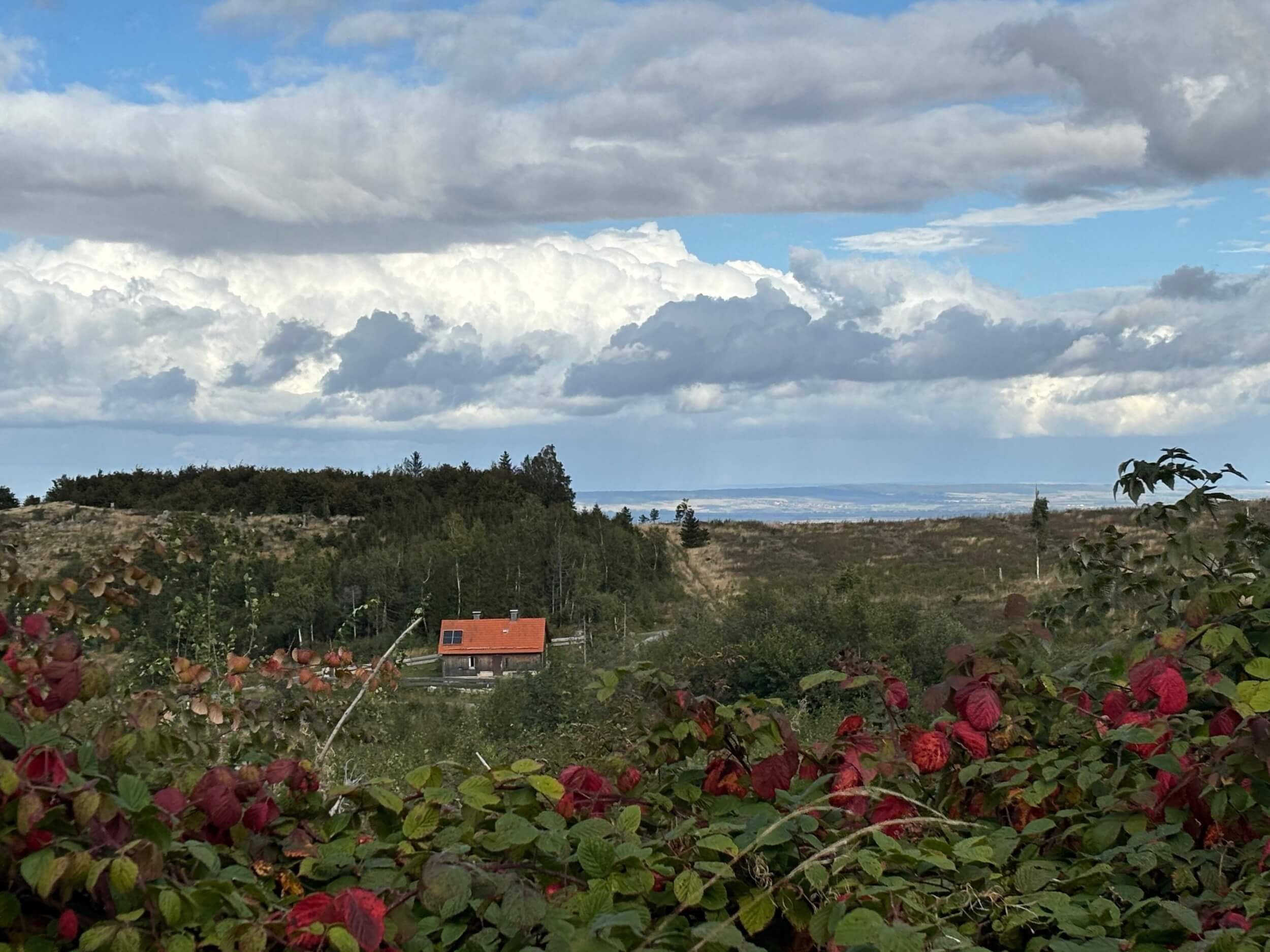 Bergwacht Harz Ferienhaus Brocken 51