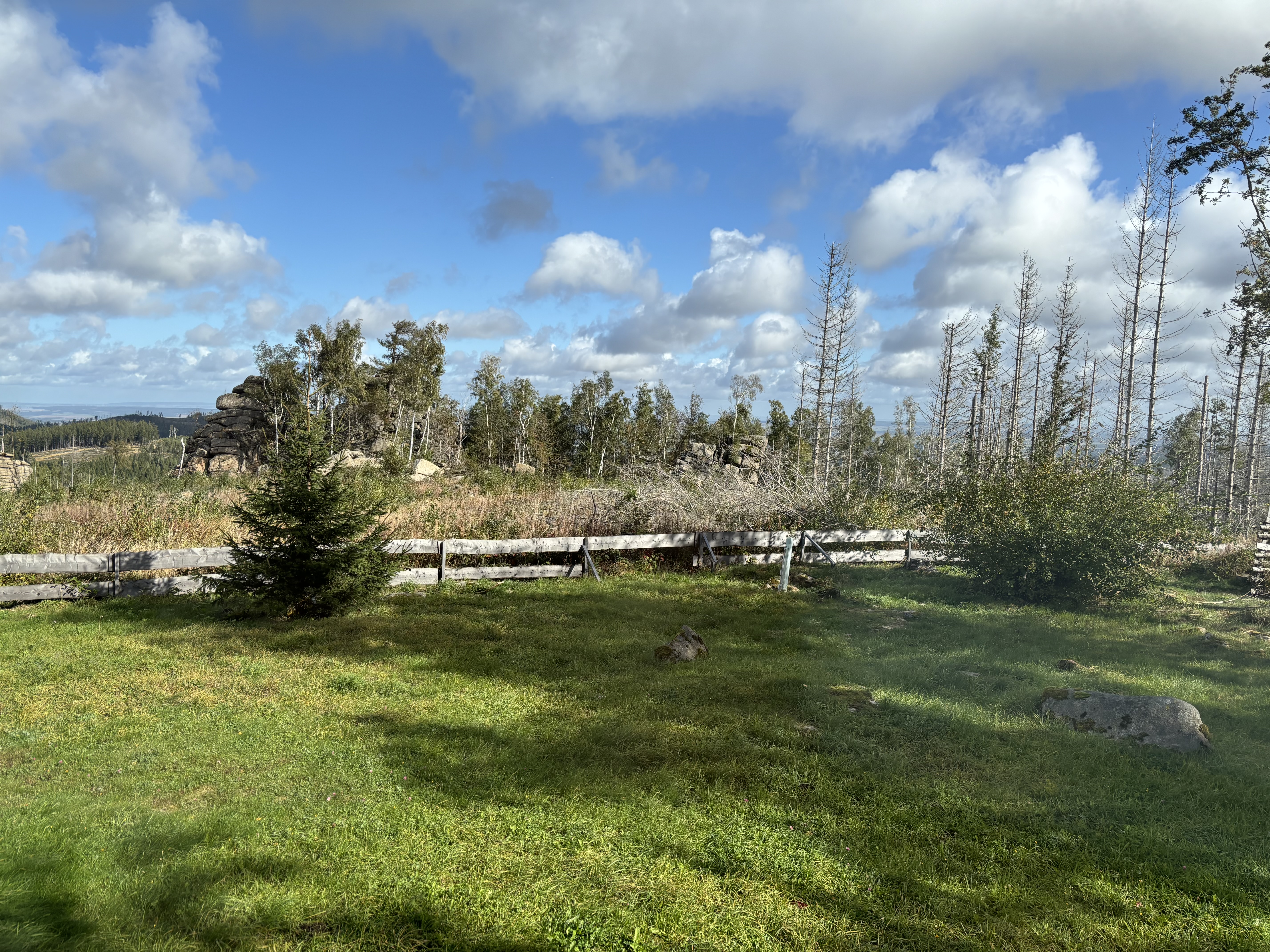 Carlshaus Harz Ferienhaus Brocken 4 Aussenansicht