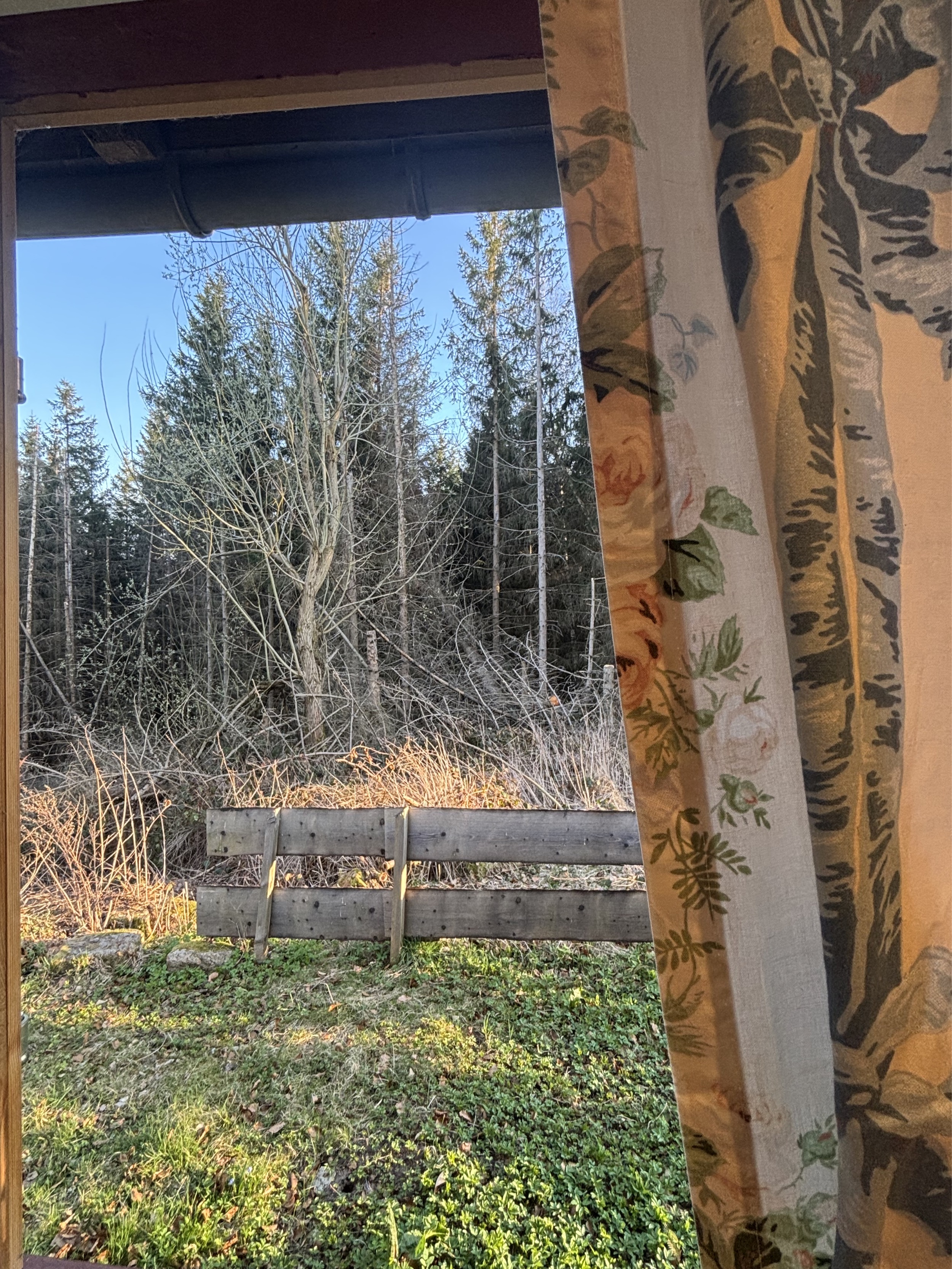 Hexenhaus-Carlshaus-Harz-2025-10