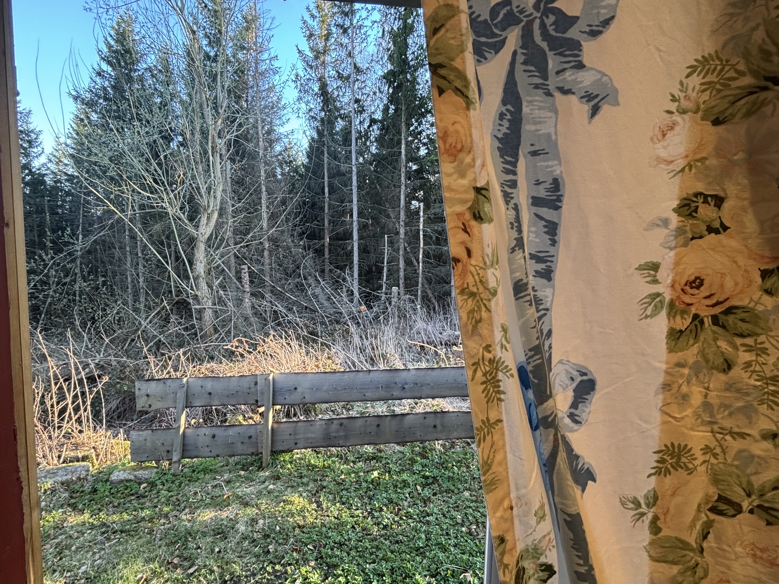 Hexenhaus Carlshaus Harz 2025 12