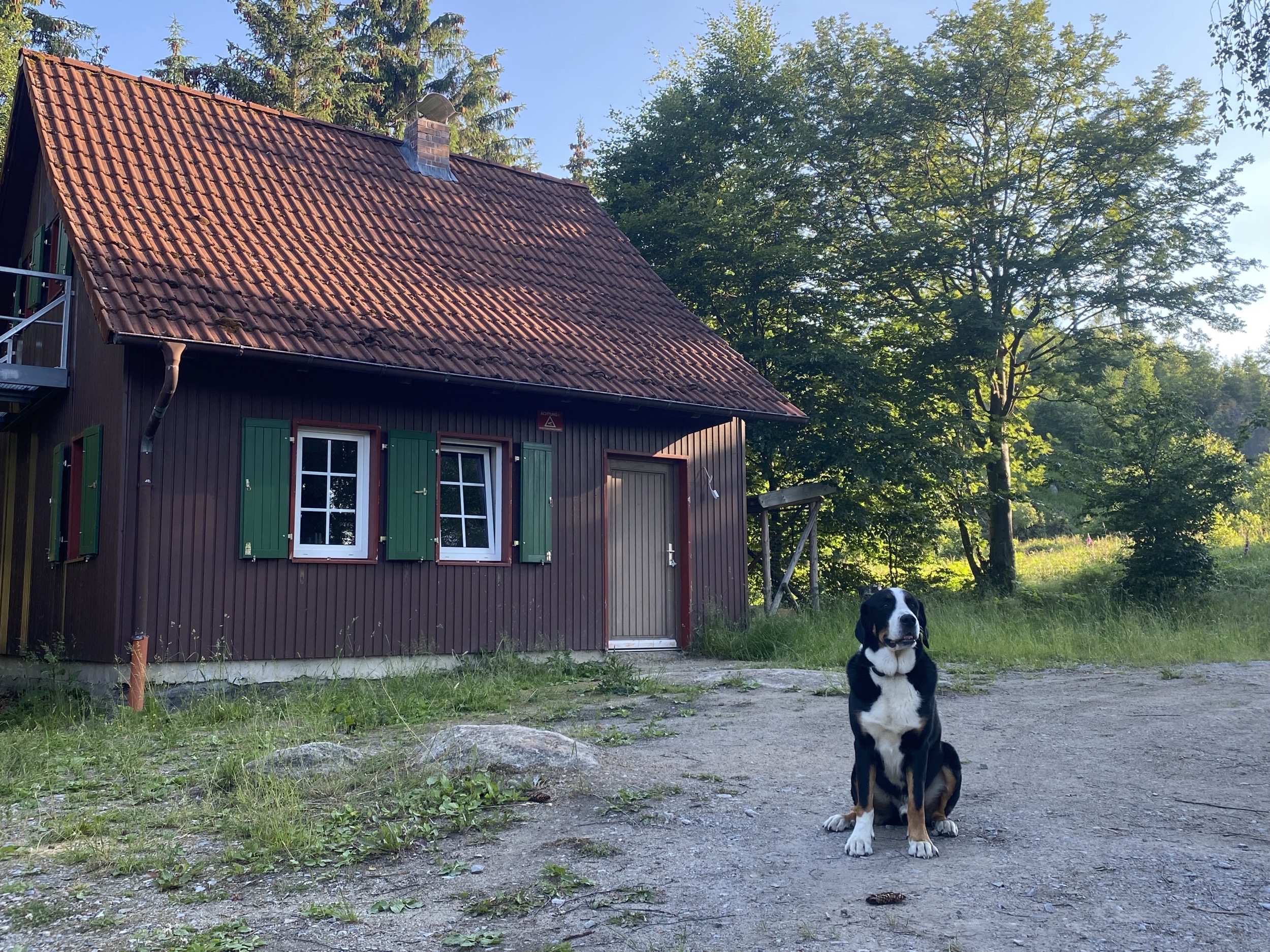 Hexenhaus Harz Ferienhaus Brocken 20 aussen