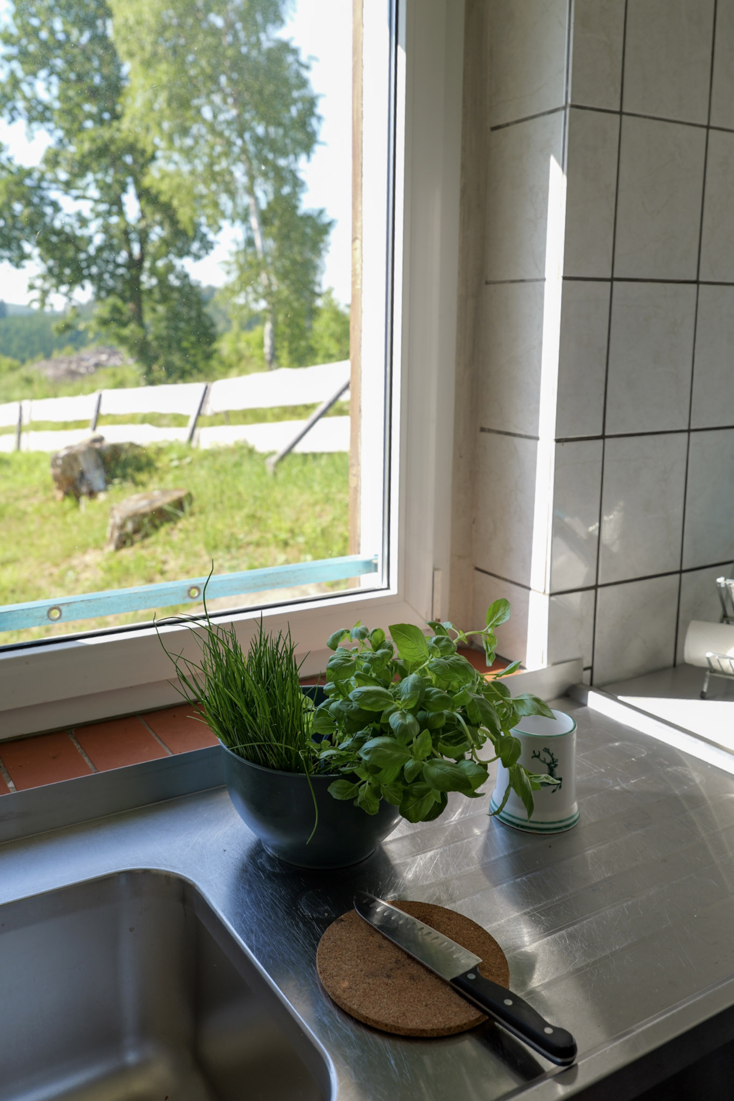 bergwacht-kueche-spuele-mit-kraeutern-und-blick-ins-gruene