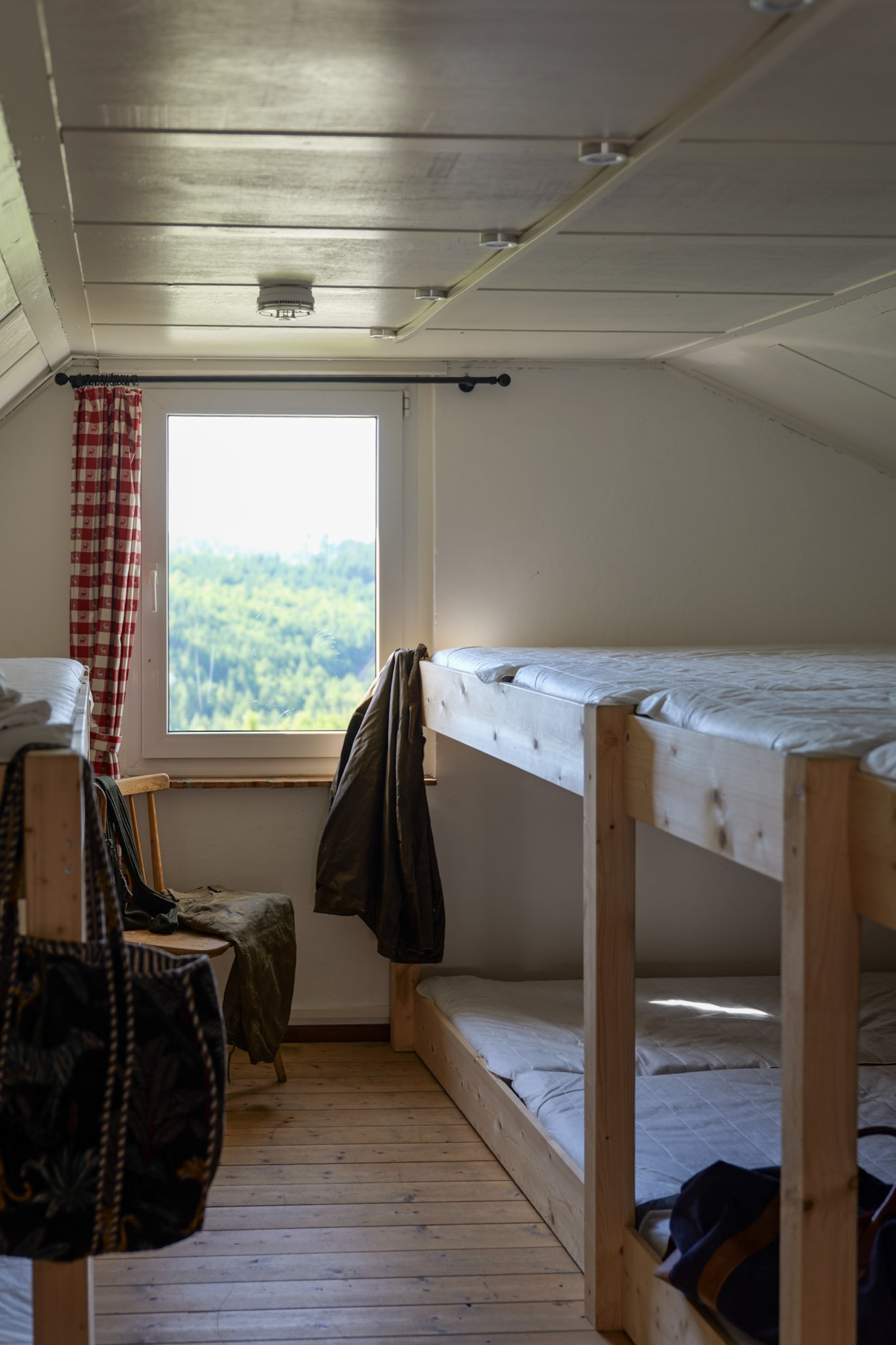 bergwacht-mehrbettzimmer-fenster-mit-waldblick
