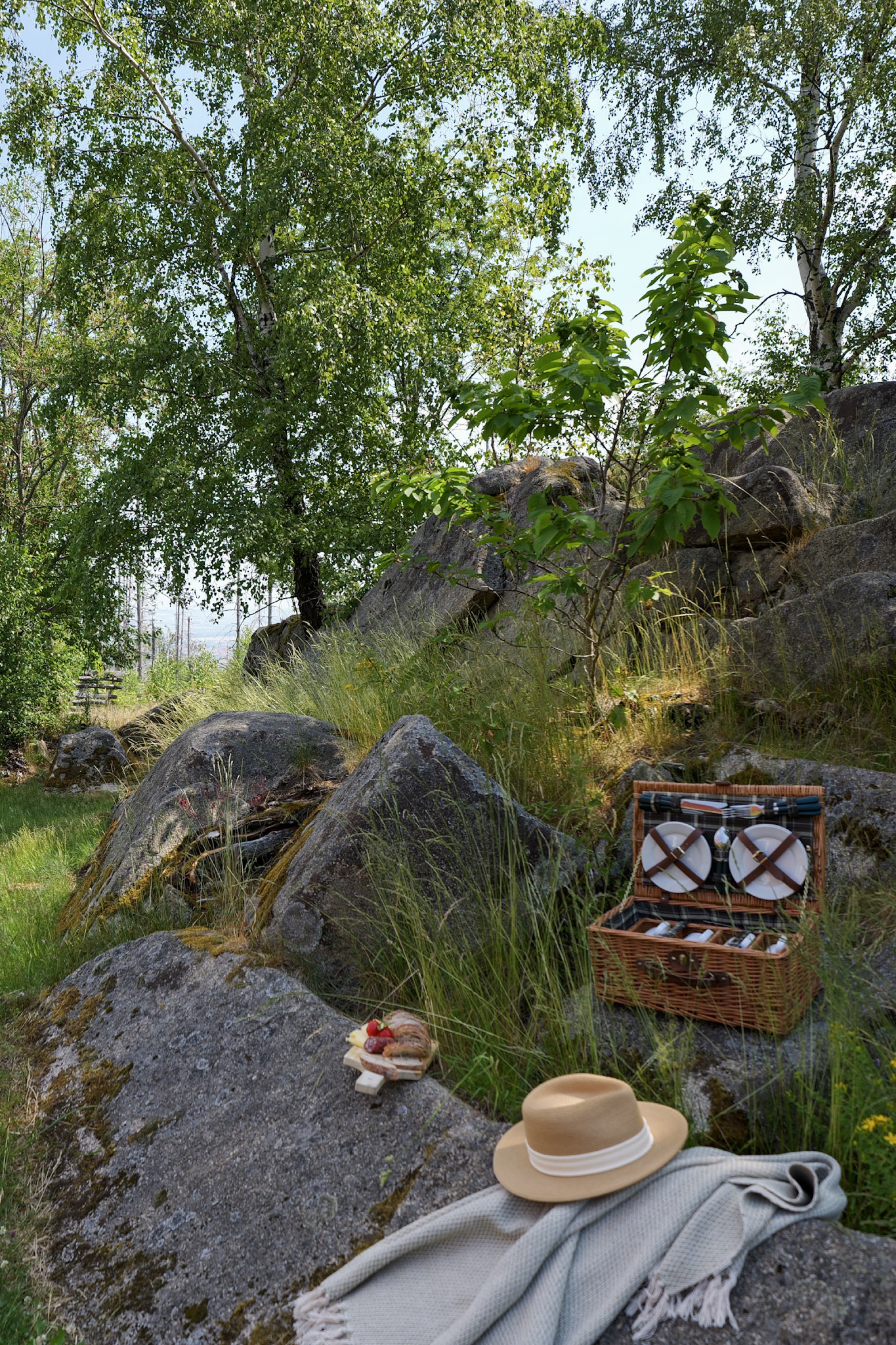 bergwacht-picknick-korb-mit-geschirr-im-wald