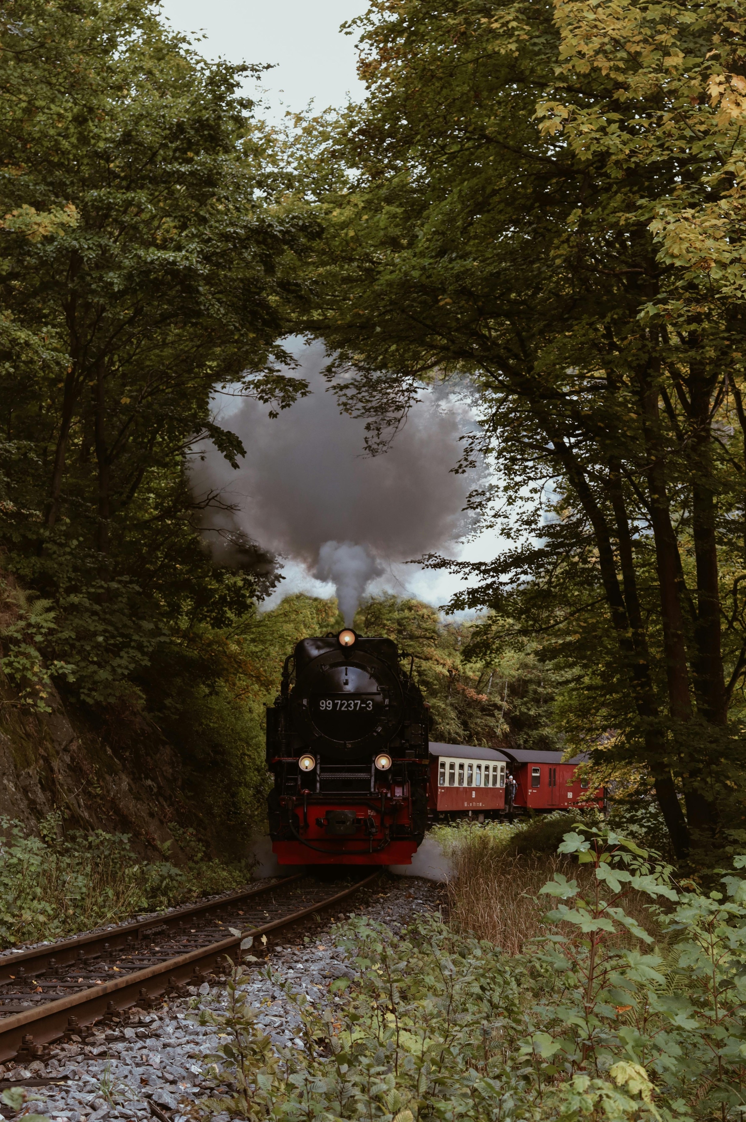 brocken-bahn-fahrt-hinauf