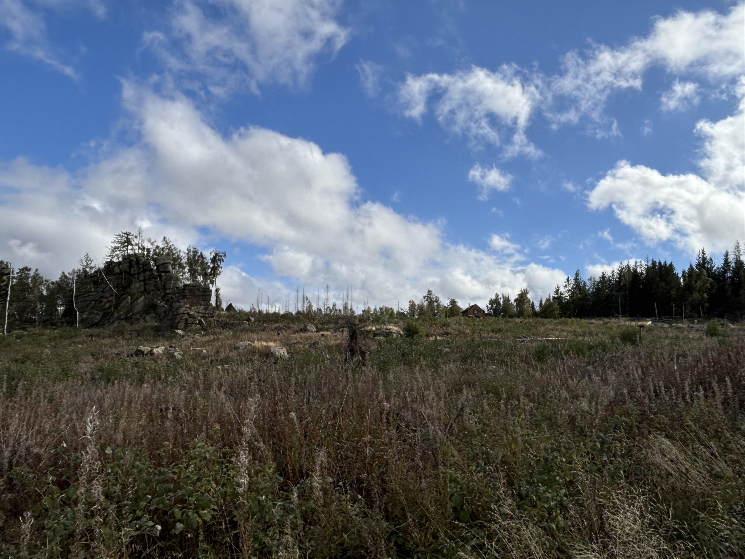 brocken harz landschaft karg