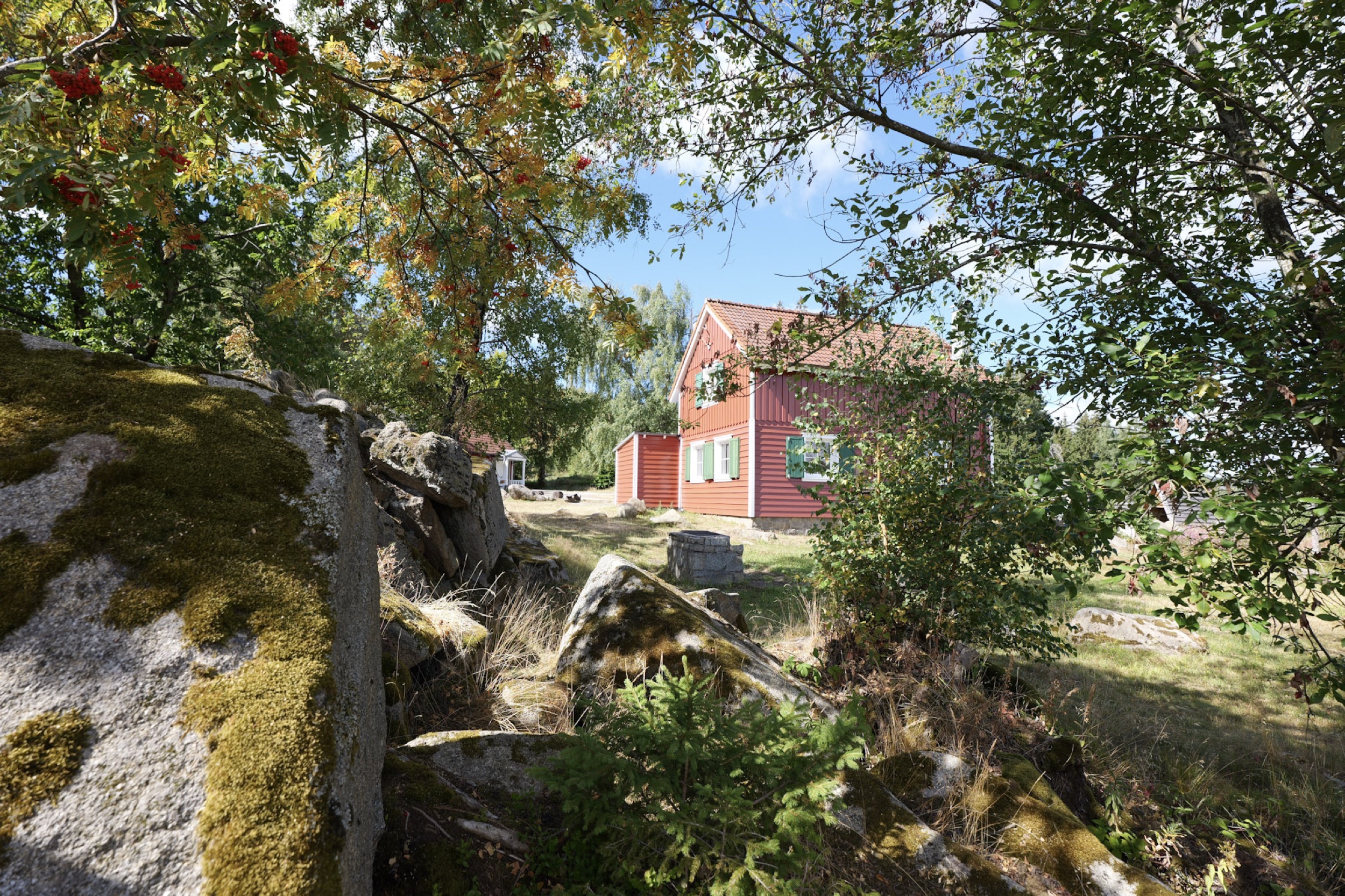 carlshaus blick durch vogelbeerbaum und bemooste felsbrocken auf das haus