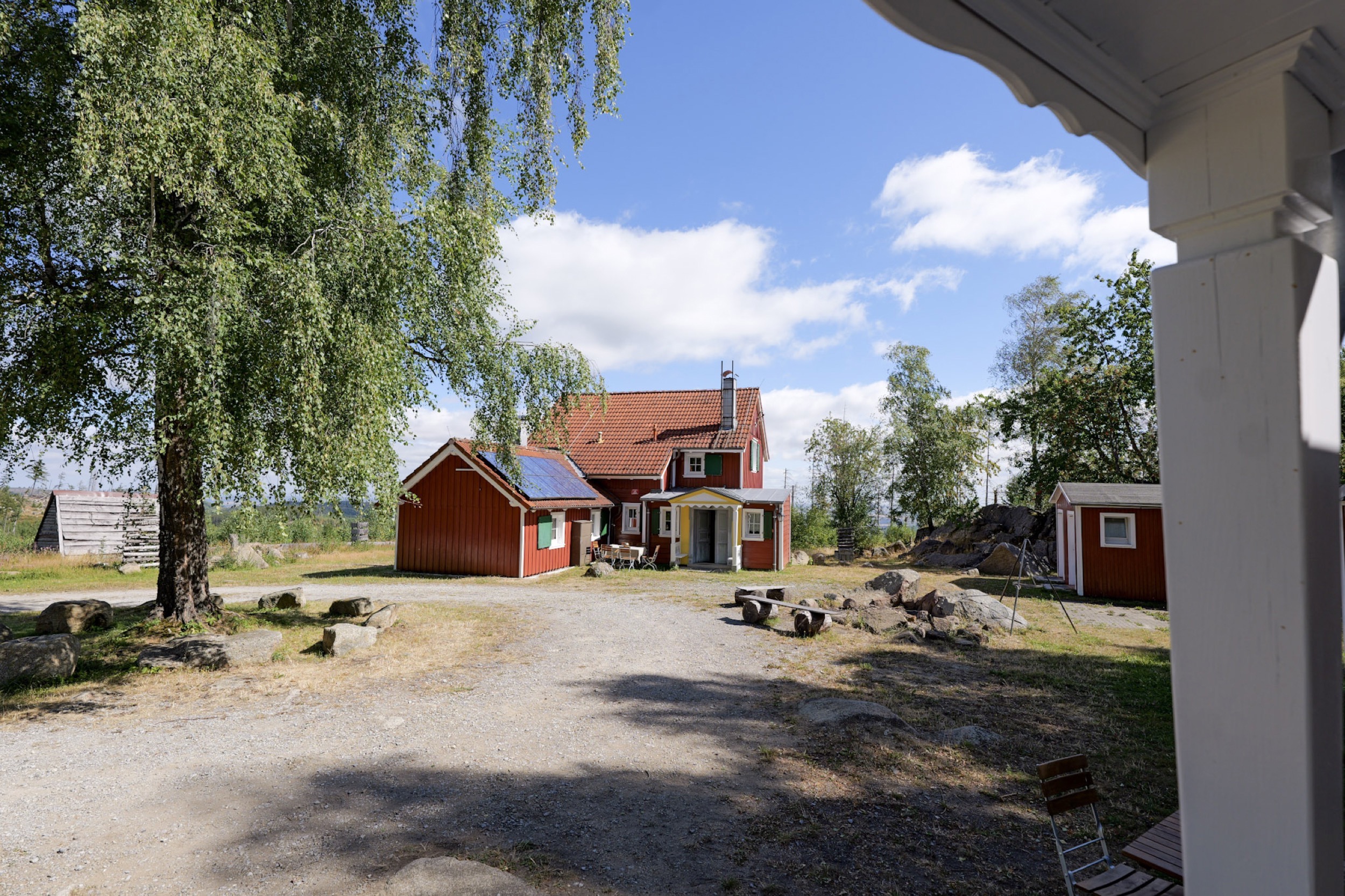 carlshaus sonnig neben einer birke