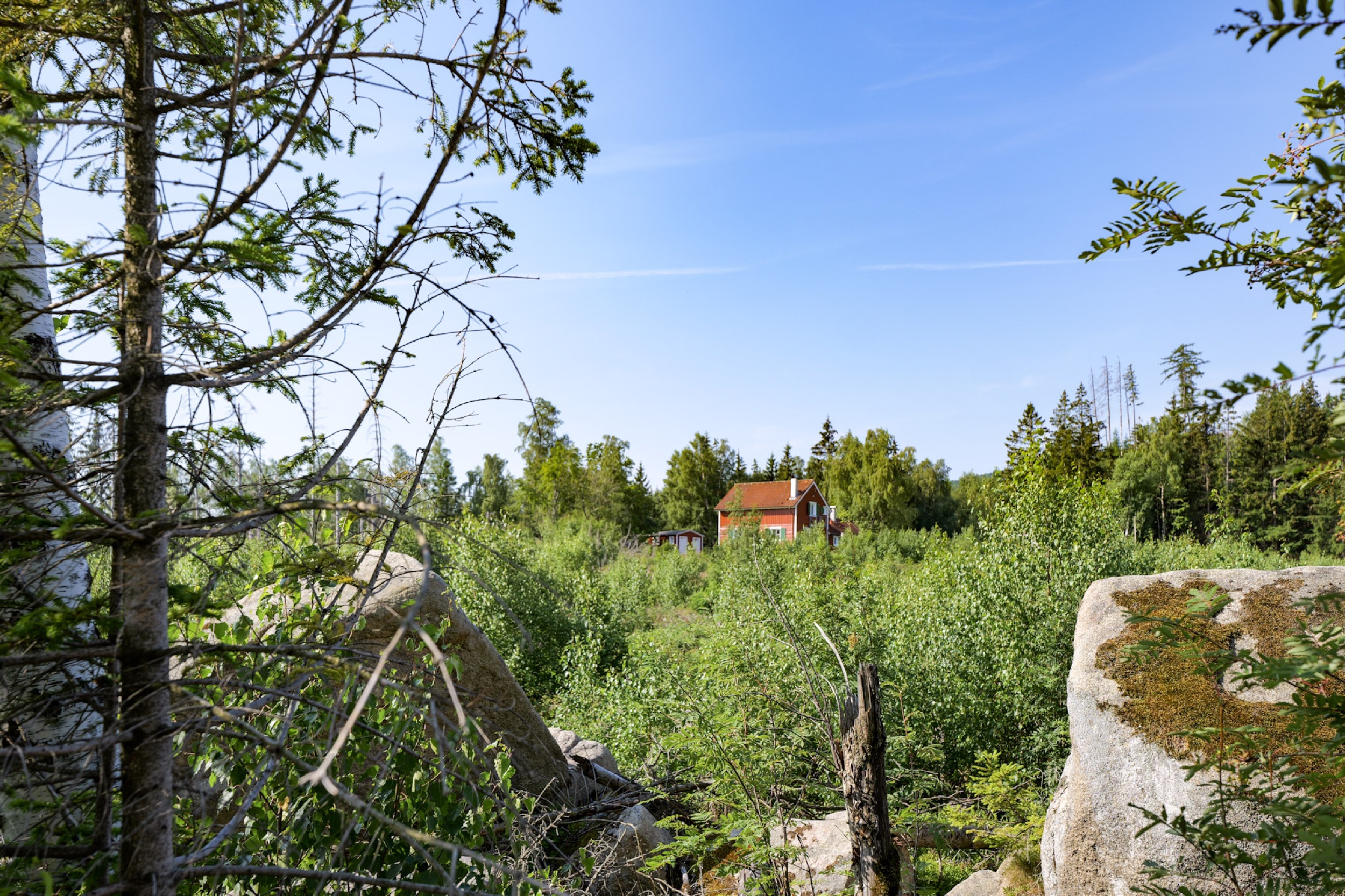 carlshaus vom ottofelsen im wald 2026
