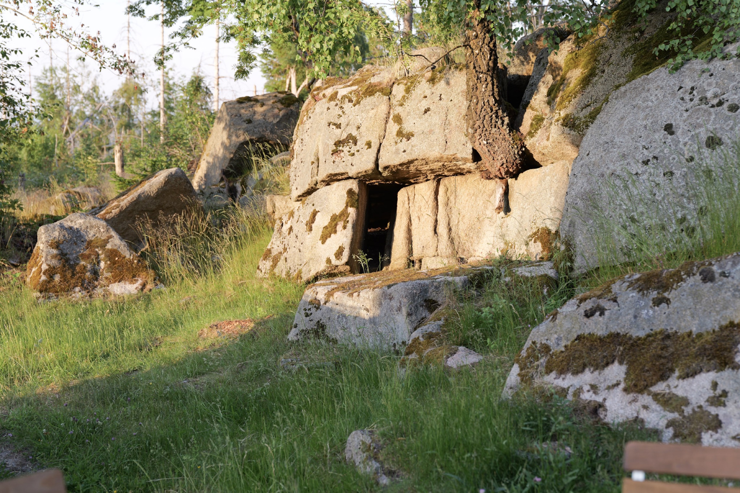 felsen in der naehe von carlshaus harz 2026