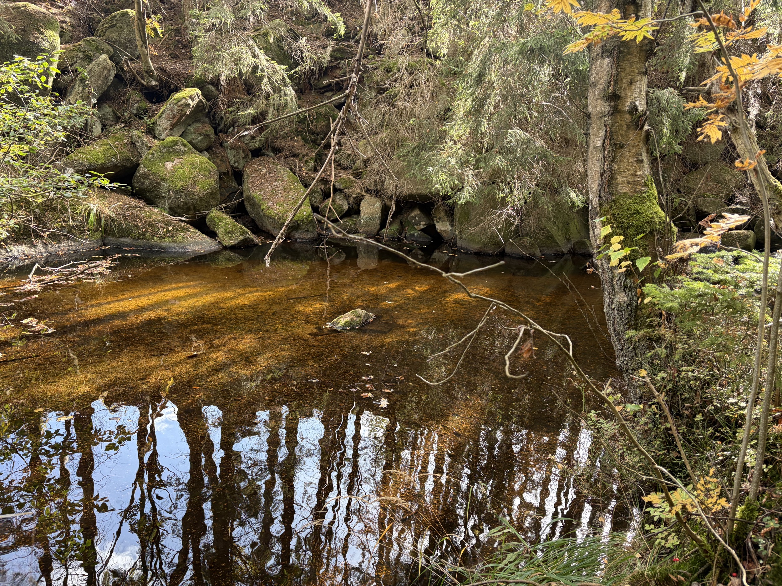 harz bemooste felsbloecke mit kleinem wasserfall im bach