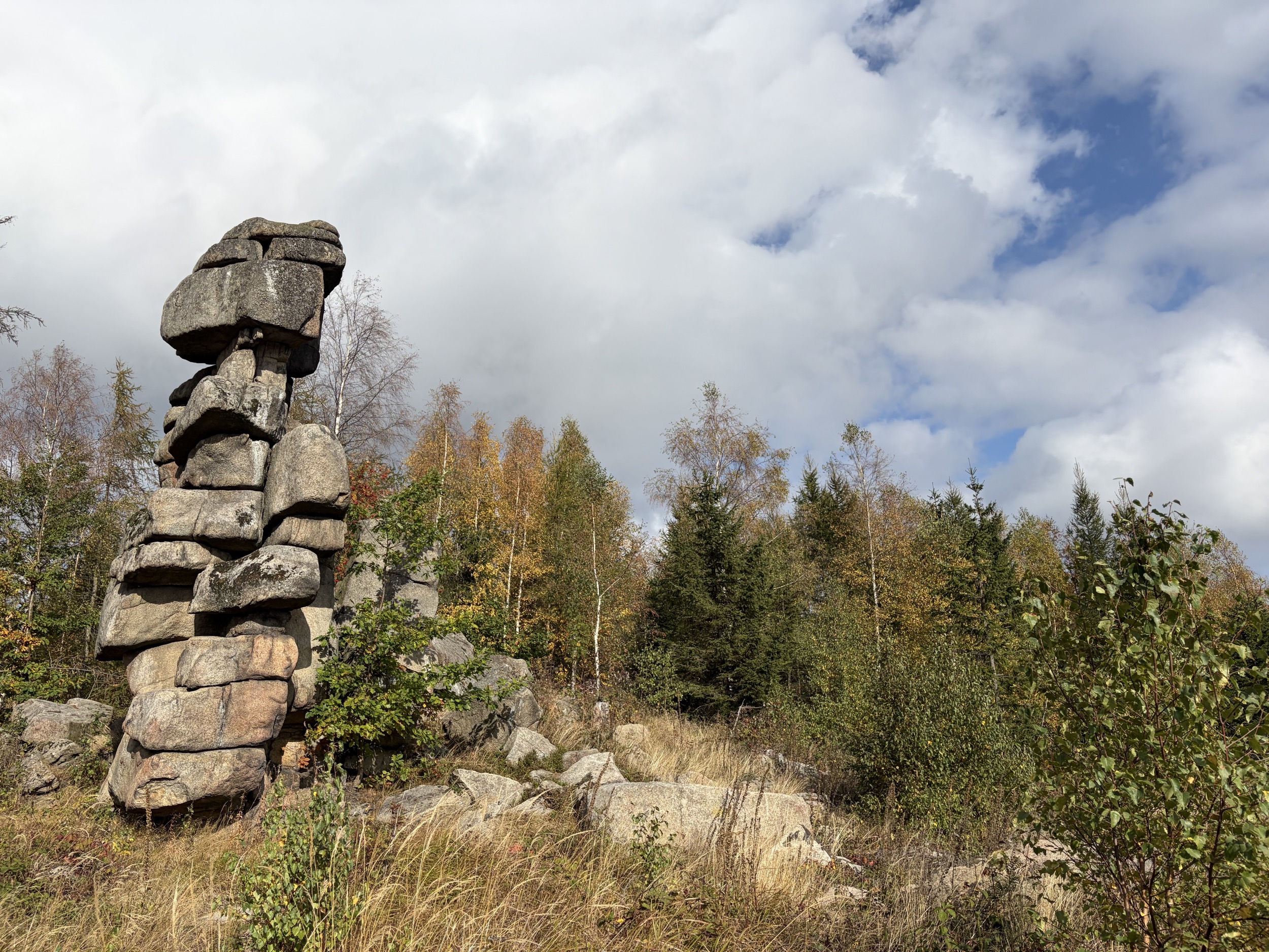 harz geschichteter felsturm aus granitbloecken am waldrand