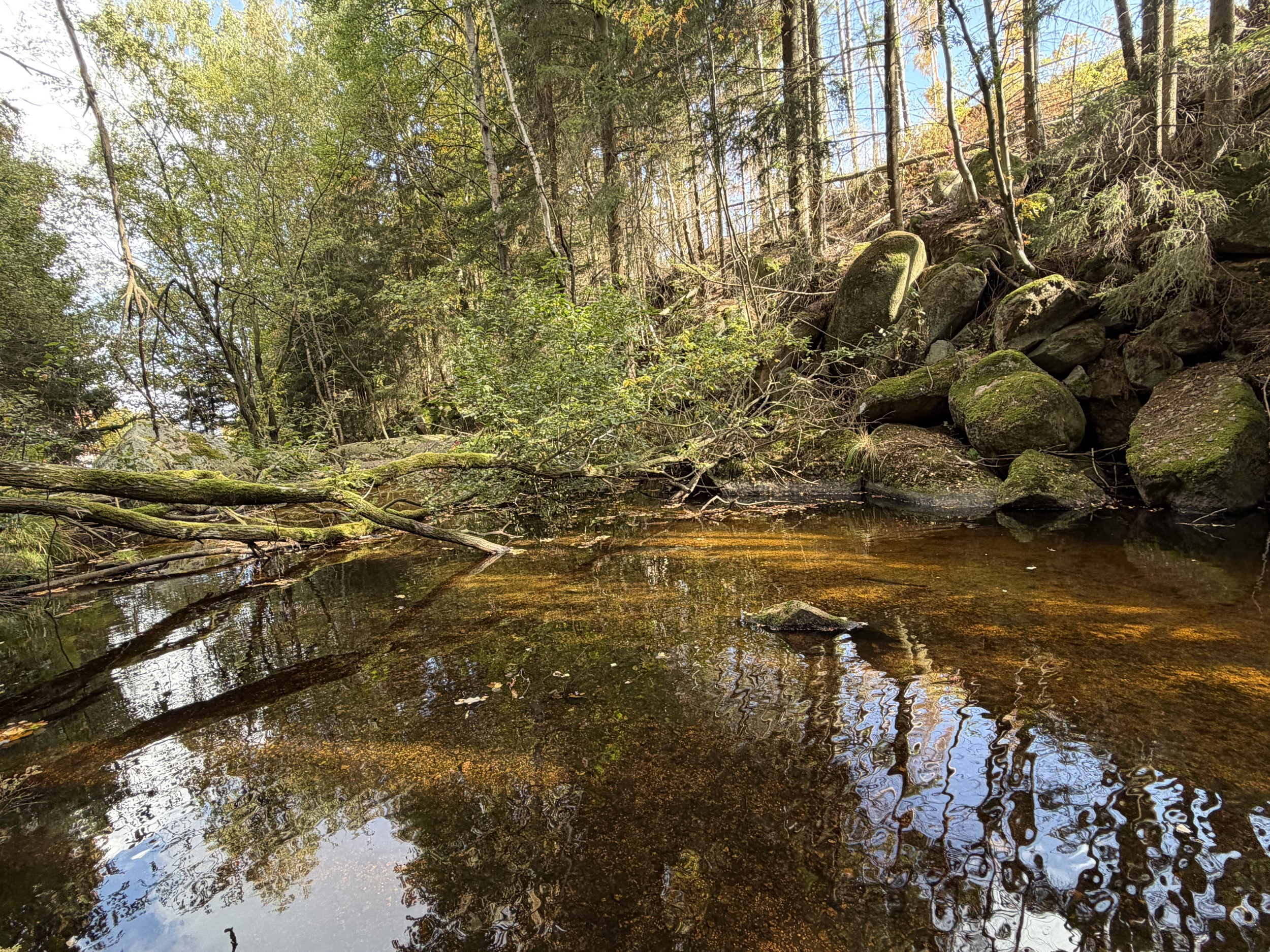harz waldteich mit umgestuerztem baumstamm und bemoosten felsen