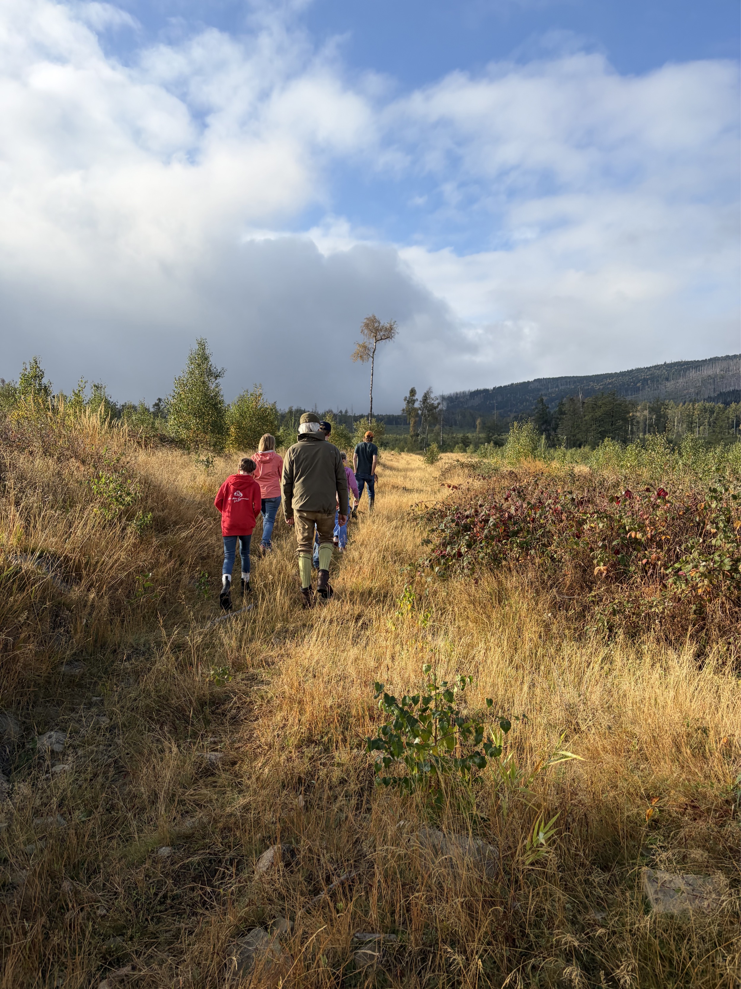 harz-wandergruppe-auf-pfad-durch-herbstliche-graswiese