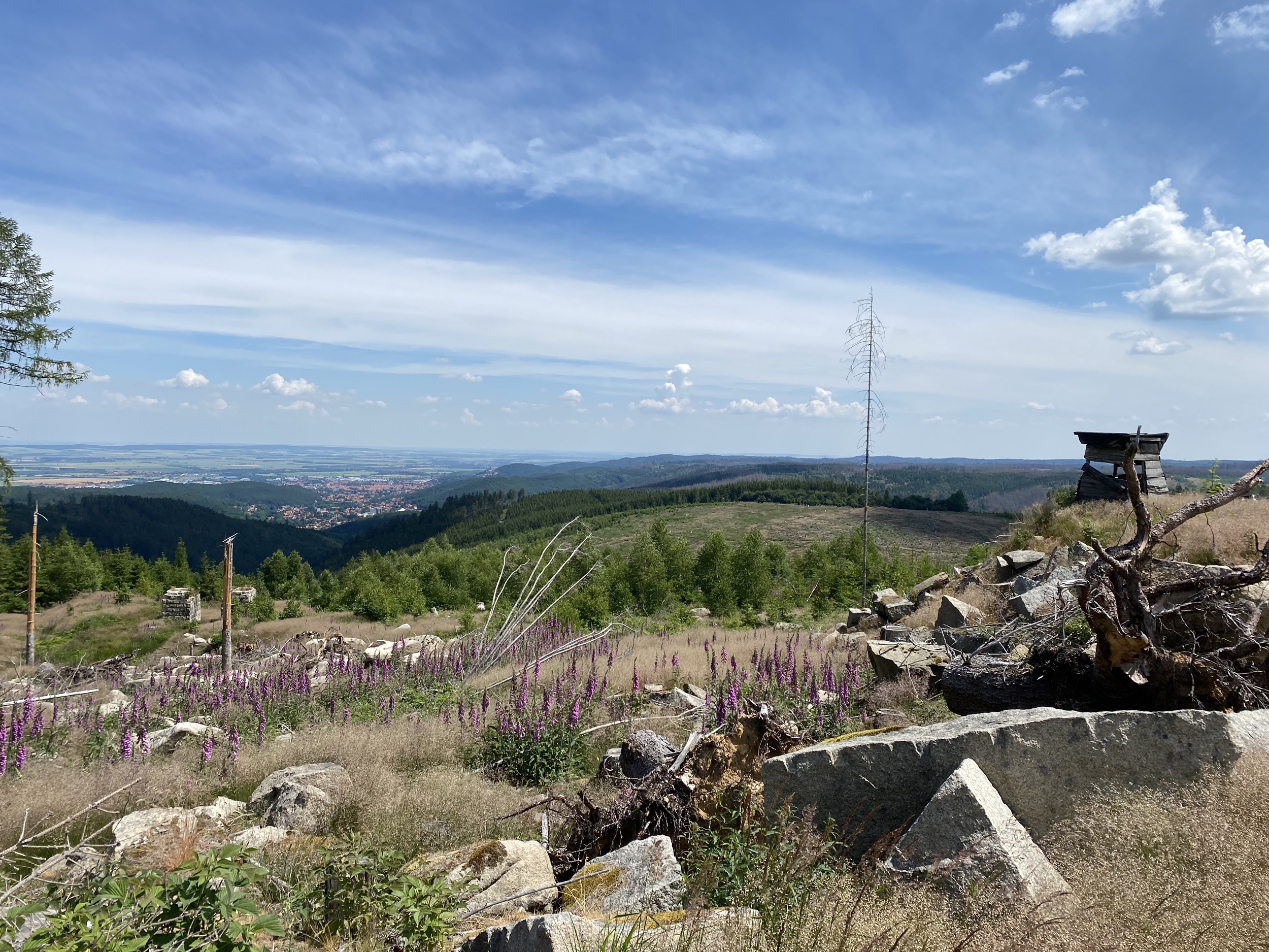 landschaft brocken blick auf wernigerode harz