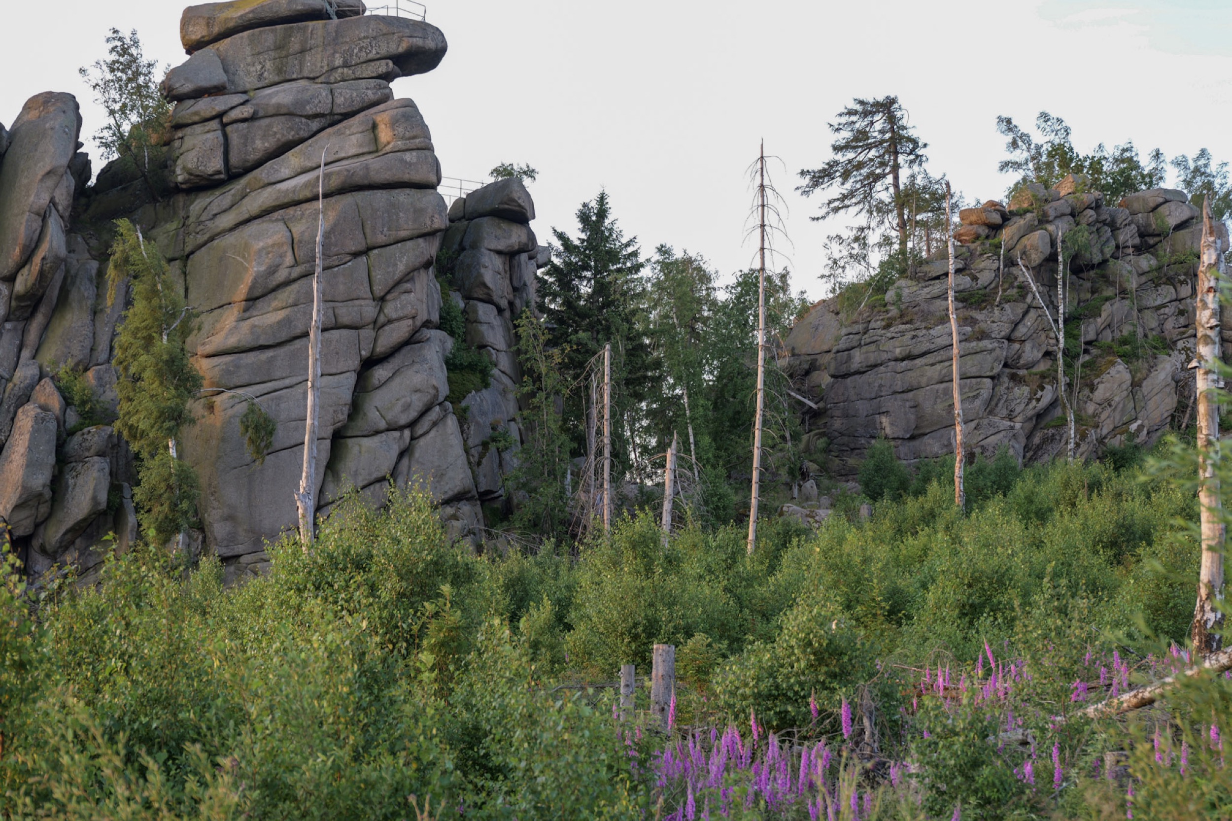 ottofelsen frontal harz 2026