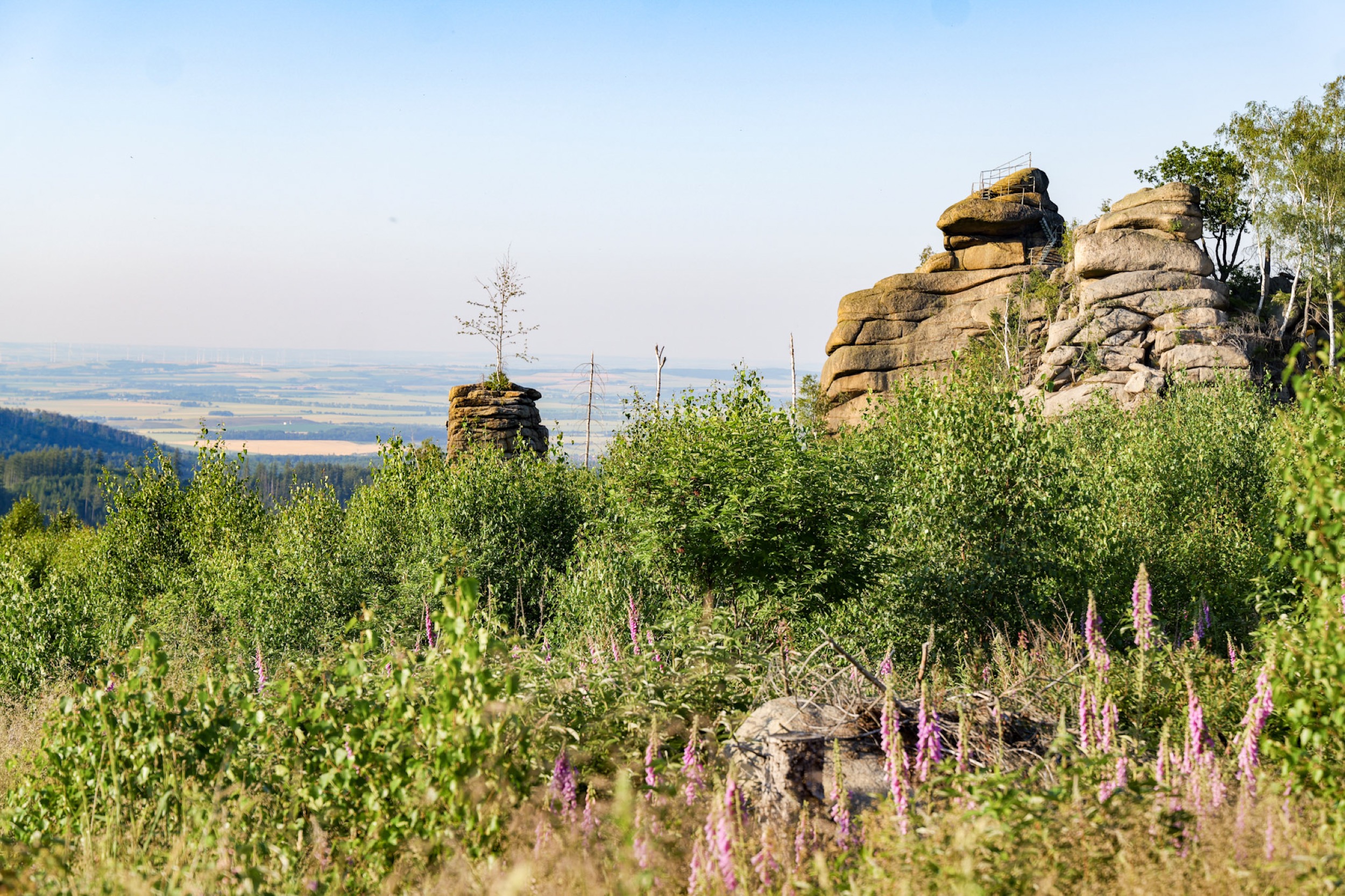 ottofelsen mit blick auf umland 2026